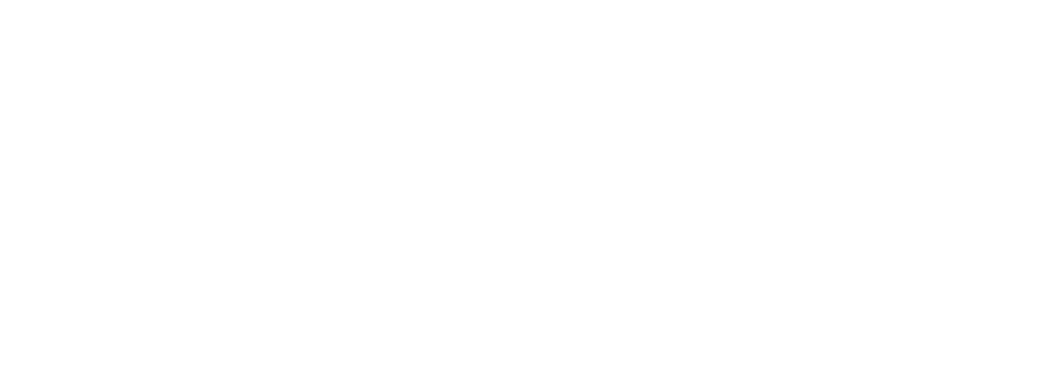 AMI Life Logo